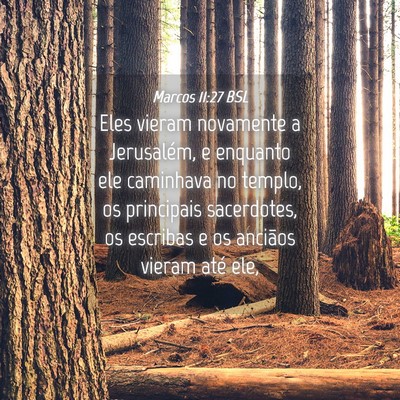 Picture 04 - Marcos 11:27 BSL - Eles vieram novamente a Jerusalém, e enquanto - Bible Verse Picture