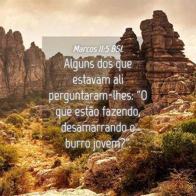 Picture 04 - Marcos 11:5 BSL - Alguns dos que estavam ali perguntaram-lhes: “O - Bible Verse Picture