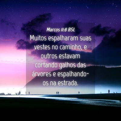 Picture 04 - Marcos 11:8 BSL - Muitos espalharam suas vestes no caminho, e - Bible Verse Picture