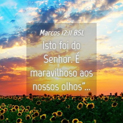 Picture 04 - Marcos 12:11 BSL - Isto foi do Senhor. É maravilhoso aos nossos - Bible Verse Picture