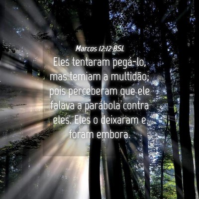 Picture 04 - Marcos 12:12 BSL - Eles tentaram pegá-lo, mas temiam a multidão; - Bible Verse Picture