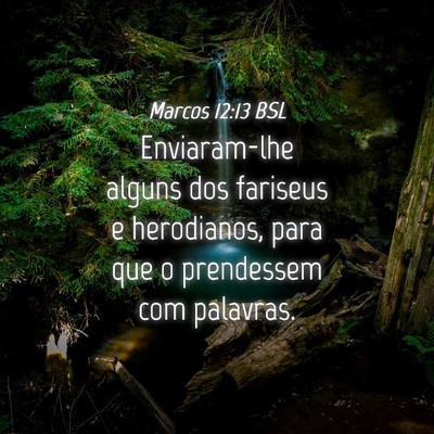 Picture 04 - Marcos 12:13 BSL - Enviaram-lhe alguns dos fariseus e herodianos, - Bible Verse Picture