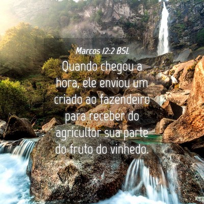 Picture 04 - Marcos 12:2 BSL - Quando chegou a hora, ele enviou um criado ao - Bible Verse Picture