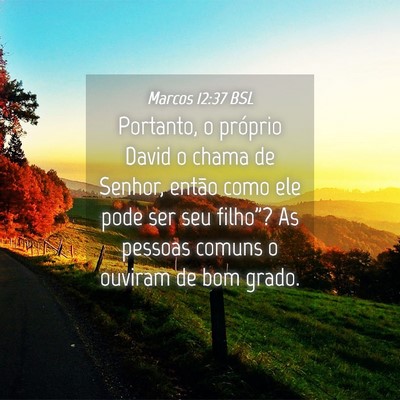 Picture 04 - Marcos 12:37 BSL - Portanto, o próprio David o chama de Senhor, - Bible Verse Picture