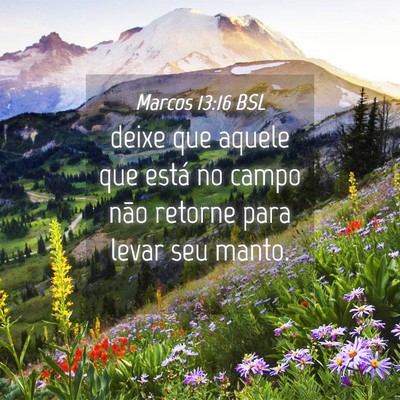 Picture 04 - Marcos 13:16 BSL - deixe que aquele que está no campo não retorne - Bible Verse Picture