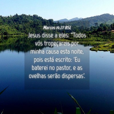 Picture 04 - Marcos 14:27 BSL - Jesus disse a eles: “Todos vós tropeçareis - Bible Verse Picture