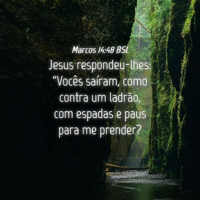 Picture 04 - Marcos 14:48 BSL - Jesus respondeu-lhes: “Vocês saíram, como - Bible Verse Picture