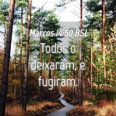 Picture 04 - Marcos 14:50 BSL - Todos o deixaram, e - Bible Verse Picture