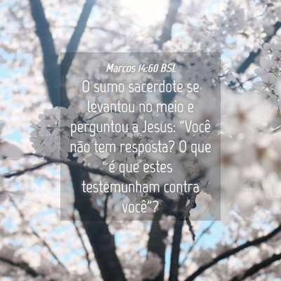 Picture 04 - Marcos 14:60 BSL - O sumo sacerdote se levantou no meio e perguntou - Bible Verse Picture