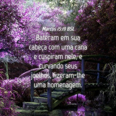 Picture 04 - Marcos 15:19 BSL - Bateram em sua cabeça com uma cana e cuspiram - Bible Verse Picture