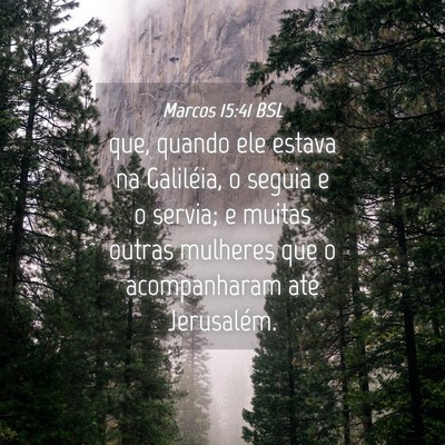 Picture 04 - Marcos 15:41 BSL - que, quando ele estava na Galiléia, o seguia e o - Bible Verse Picture