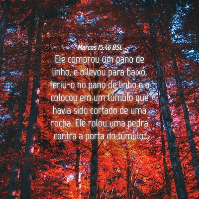 Picture 04 - Marcos 15:46 BSL - Ele comprou um pano de linho, e o levou para - Bible Verse Picture