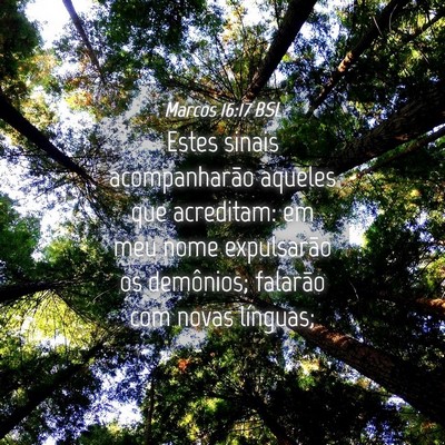 Picture 04 - Marcos 16:17 BSL - Estes sinais acompanharão aqueles que acreditam: - Bible Verse Picture