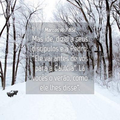 Picture 04 - Marcos 16:7 BSL - Mas ide, dizei a seus discípulos e a Pedro: - Bible Verse Picture