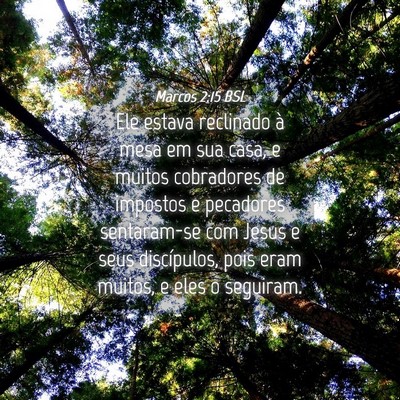 Picture 04 - Marcos 2:15 BSL - Ele estava reclinado à mesa em sua casa, e - Bible Verse Picture