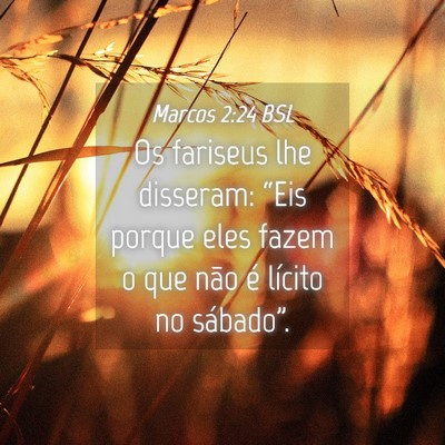 Picture 04 - Marcos 2:24 BSL - Os fariseus lhe disseram: “Eis porque eles - Bible Verse Picture
