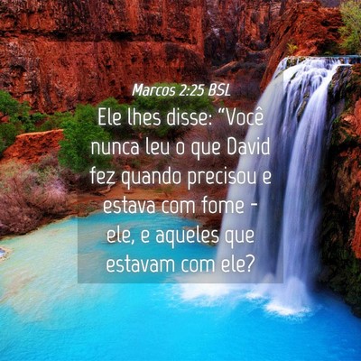 Picture 04 - Marcos 2:25 BSL - Ele lhes disse: “Você nunca leu o que David - Bible Verse Picture