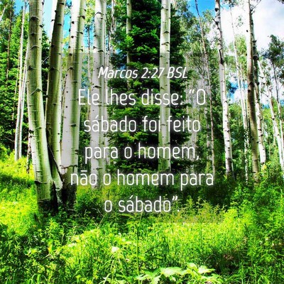 Picture 04 - Marcos 2:27 BSL - Ele lhes disse: “O sábado foi feito para o - Bible Verse Picture