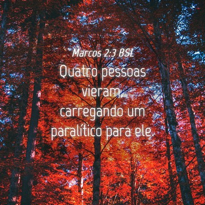 Picture 04 - Marcos 2:3 BSL - Quatro pessoas vieram, carregando um paralítico - Bible Verse Picture