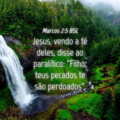 Picture 04 - Marcos 2:5 BSL - Jesus, vendo a fé deles, disse ao paralítico: - Bible Verse Picture