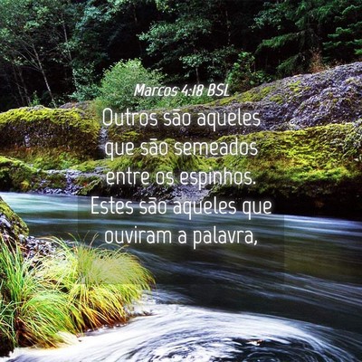 Picture 04 - Marcos 4:18 BSL - Outros são aqueles que são semeados entre os - Bible Verse Picture