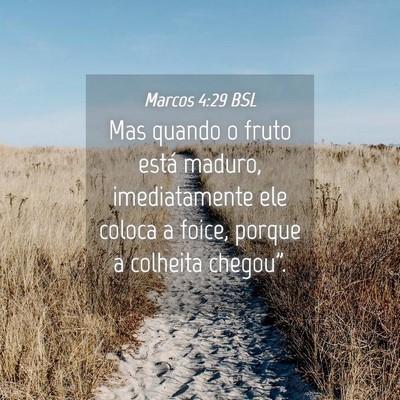 Picture 04 - Marcos 4:29 BSL - Mas quando o fruto está maduro, imediatamente - Bible Verse Picture