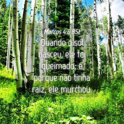 Picture 04 - Marcos 4:6 BSL - Quando o sol nasceu, ele foi queimado; e porque - Bible Verse Picture