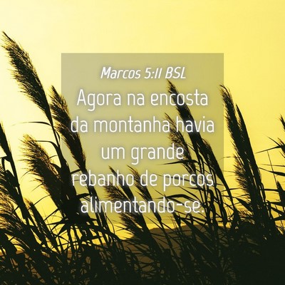 Picture 04 - Marcos 5:11 BSL - Agora na encosta da montanha havia um grande - Bible Verse Picture