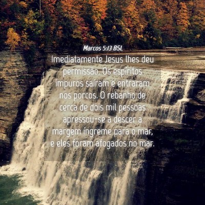 Picture 04 - Marcos 5:13 BSL - Imediatamente Jesus lhes deu permissão. Os - Bible Verse Picture