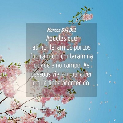Picture 04 - Marcos 5:14 BSL - Aqueles que alimentaram os porcos fugiram e o - Bible Verse Picture