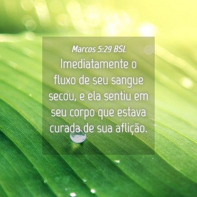 Picture 04 - Marcos 5:29 BSL - Imediatamente o fluxo de seu sangue secou, e ela - Bible Verse Picture