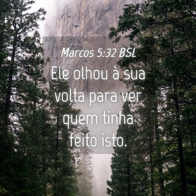 Picture 04 - Marcos 5:32 BSL - Ele olhou à sua volta para ver quem tinha feito - Bible Verse Picture