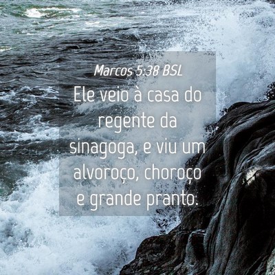 Picture 04 - Marcos 5:38 BSL - Ele veio à casa do regente da sinagoga, e viu um - Bible Verse Picture