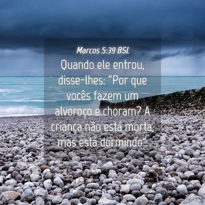 Picture 04 - Marcos 5:39 BSL - Quando ele entrou, disse-lhes: “Por que vocês - Bible Verse Picture