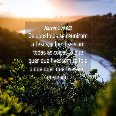 Picture 04 - Marcos 6:30 BSL - Os apóstolos se reuniram a Jesus, e lhe disseram - Bible Verse Picture