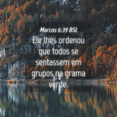 Picture 04 - Marcos 6:39 BSL - Ele lhes ordenou que todos se sentassem em grupos - Bible Verse Picture