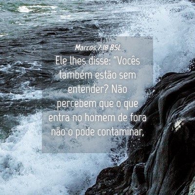 Picture 04 - Marcos 7:18 BSL - Ele lhes disse: “Vocês também estão sem - Bible Verse Picture