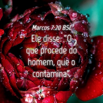 Picture 04 - Marcos 7:20 BSL - Ele disse: “O que procede do homem, que o - Bible Verse Picture