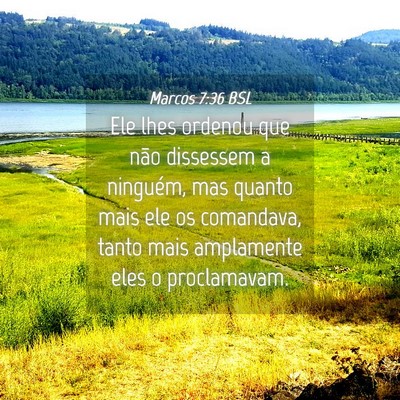 Picture 04 - Marcos 7:36 BSL - Ele lhes ordenou que não dissessem a ninguém, - Bible Verse Picture
