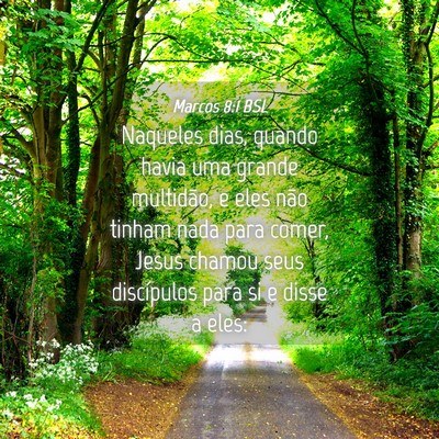 Picture 04 - Marcos 8:1 BSL - Naqueles dias, quando havia uma grande multidão, - Bible Verse Picture