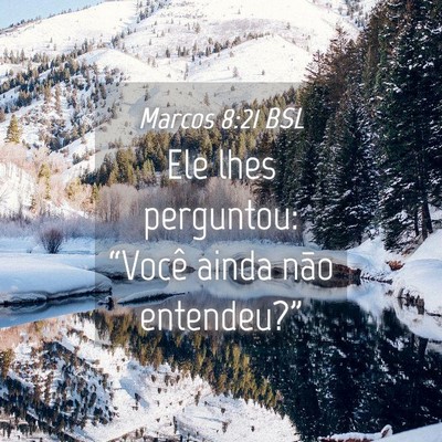 Picture 04 - Marcos 8:21 BSL - Ele lhes perguntou: “Você ainda não - Bible Verse Picture