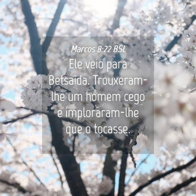 Picture 04 - Marcos 8:22 BSL - Ele veio para Betsaida. Trouxeram-lhe um homem - Bible Verse Picture