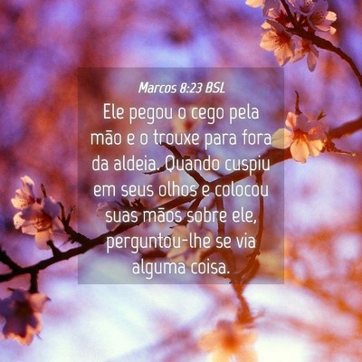 Picture 04 - Marcos 8:23 BSL - Ele pegou o cego pela mão e o trouxe para fora - Bible Verse Picture