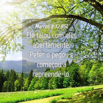 Picture 04 - Marcos 8:32 BSL - Ele falou com eles abertamente. Peter o pegou e - Bible Verse Picture