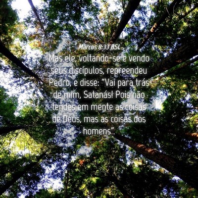 Picture 04 - Marcos 8:33 BSL - Mas ele, voltando-se e vendo seus discípulos, - Bible Verse Picture