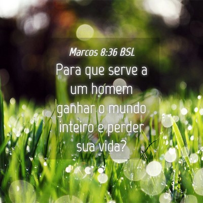 Picture 04 - Marcos 8:36 BSL - Para que serve a um homem ganhar o mundo inteiro - Bible Verse Picture