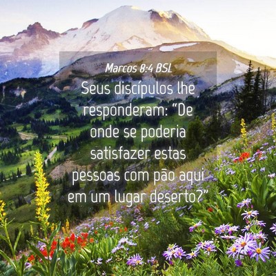 Picture 04 - Marcos 8:4 BSL - Seus discípulos lhe responderam: “De onde se - Bible Verse Picture
