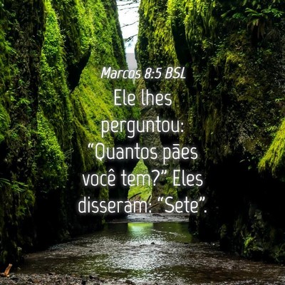 Picture 04 - Marcos 8:5 BSL - Ele lhes perguntou: “Quantos pães você - Bible Verse Picture