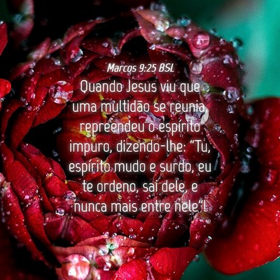 Picture 04 - Marcos 9:25 BSL - Quando Jesus viu que uma multidão se reunia, - Bible Verse Picture
