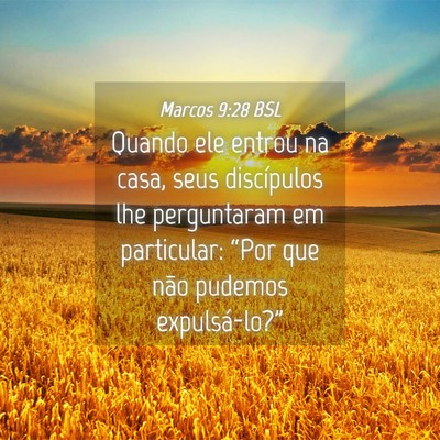Picture 04 - Marcos 9:28 BSL - Quando ele entrou na casa, seus discípulos lhe - Bible Verse Picture